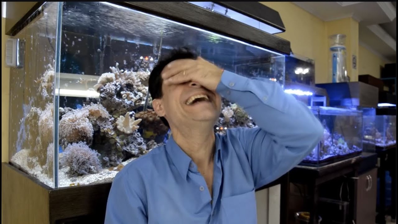 Como Montar Seu Aquário Marinho - SÉRIE RETRÔ - Aquashow - 252