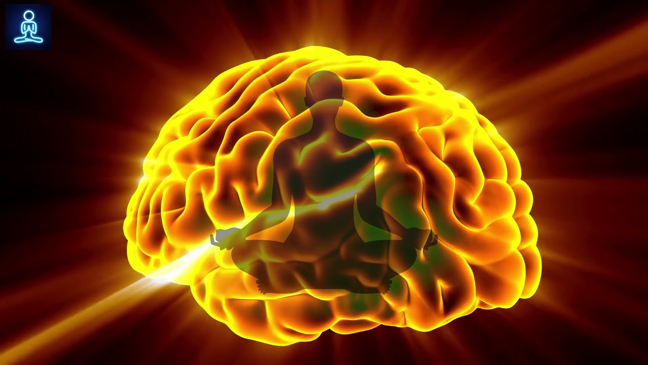 Gut Brain Connection Music: Binaural Beats to Increase Brain Power