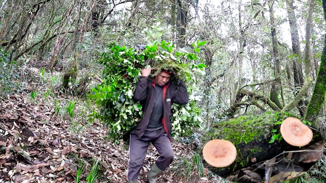 jungle man in the jungle