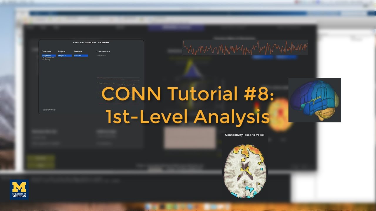 CONN Tutorial #8: 1st-Level Analysis