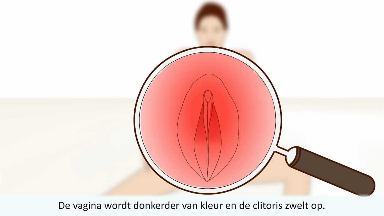 Zo werkt het vrouwelijk orgasme!