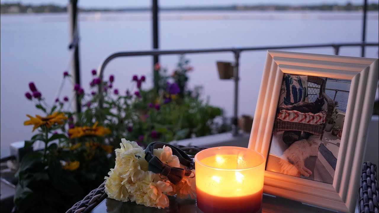 Why I'm All Alone on my Boat | Quiet slow living vlog