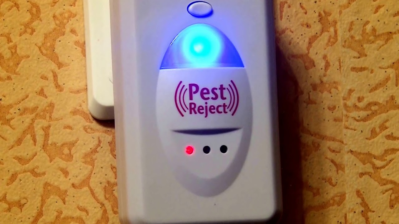 pest reject тест