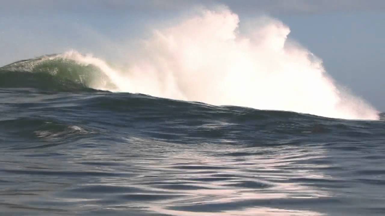 Ryan Hardy the new kid [Reflex]