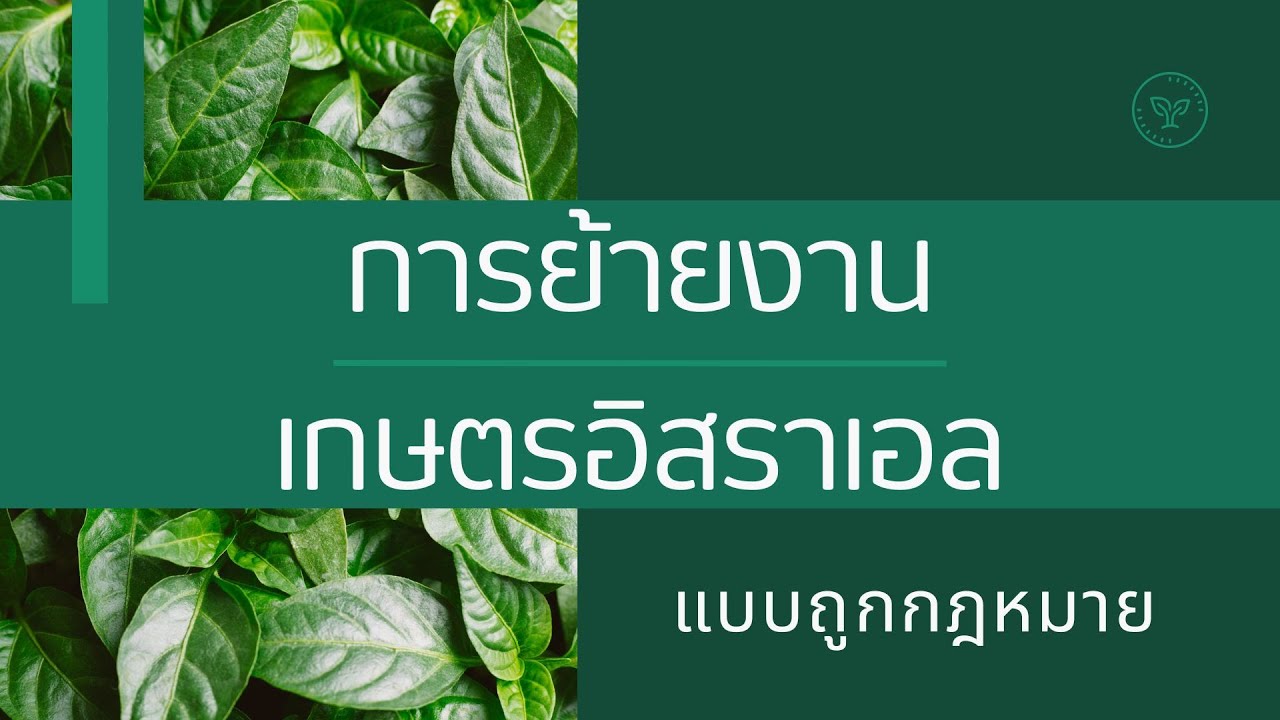 การย้ายงานเกษตรอิสราเอล แบบถูกกฎหมาย #งานอิสราเอล #ข่าวอิสราเอล #ai #podcast