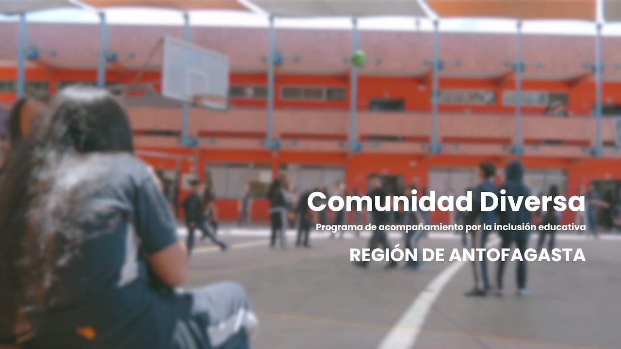 COMUNIDAD DIVERSA: Programa de Acompañamiento por la Inclusión Educativa - Video 2