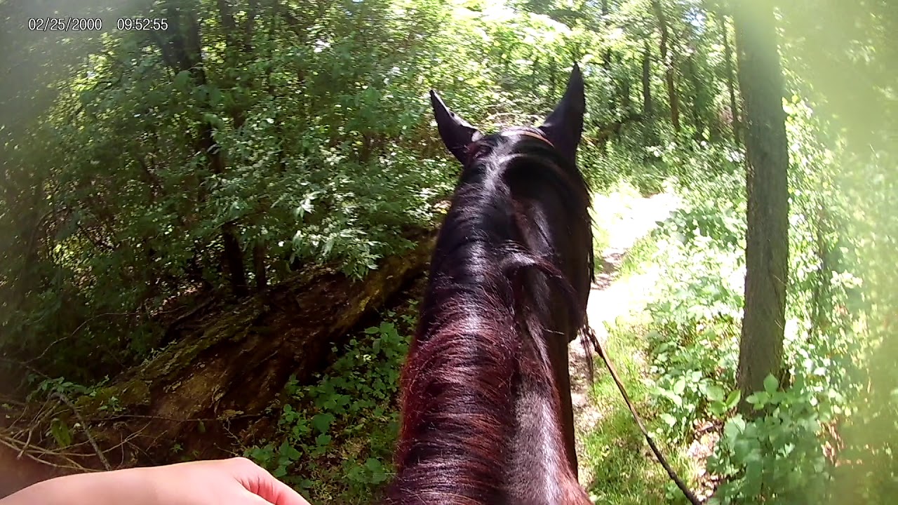 05/31 OTTB Trail Ride w/ friends Part 1