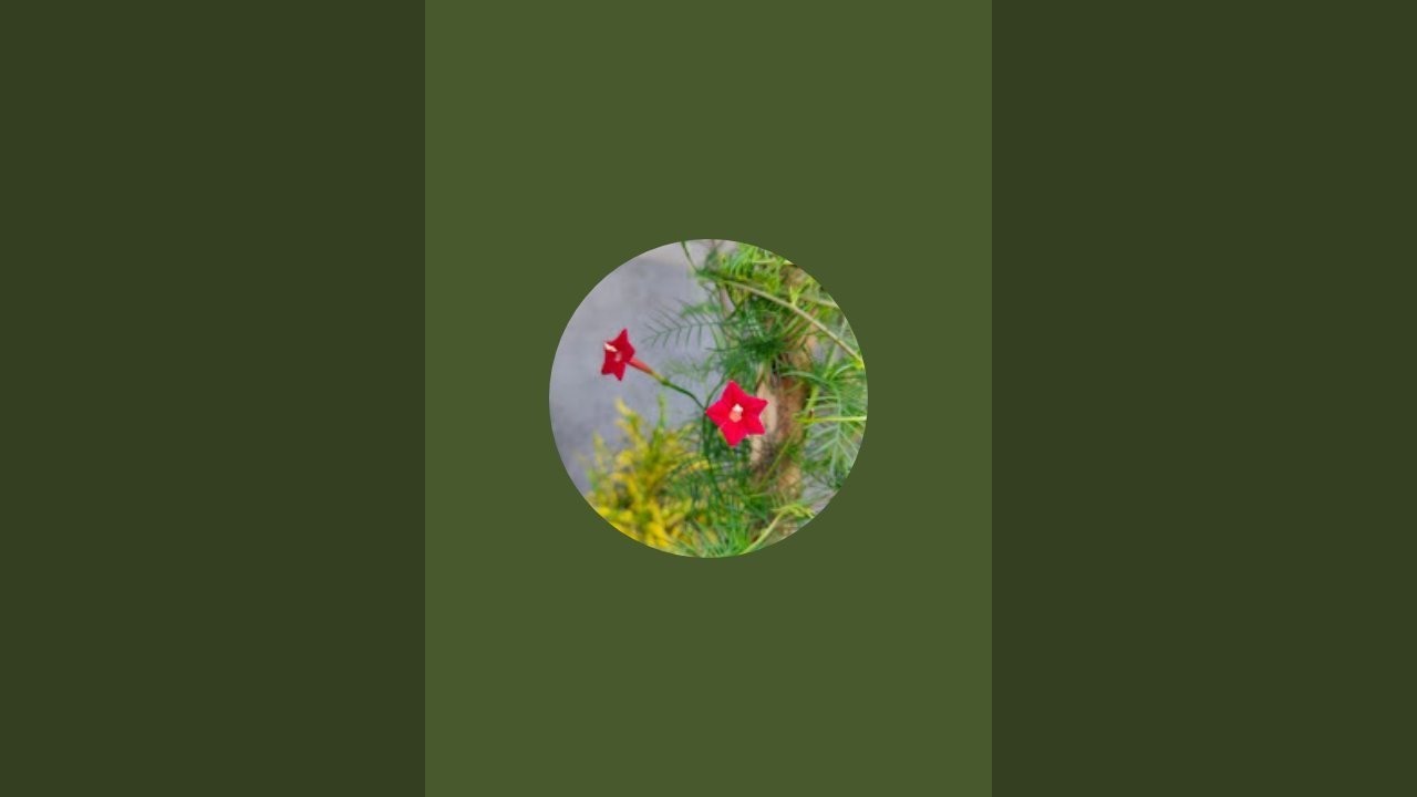 Sabana gardener is live