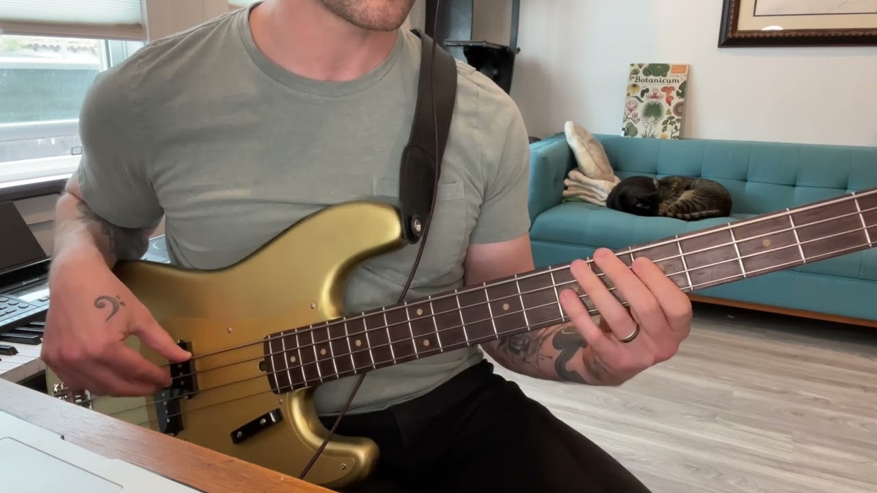 La Bella’s New Olinto Flat Wound Strings // the P bass test