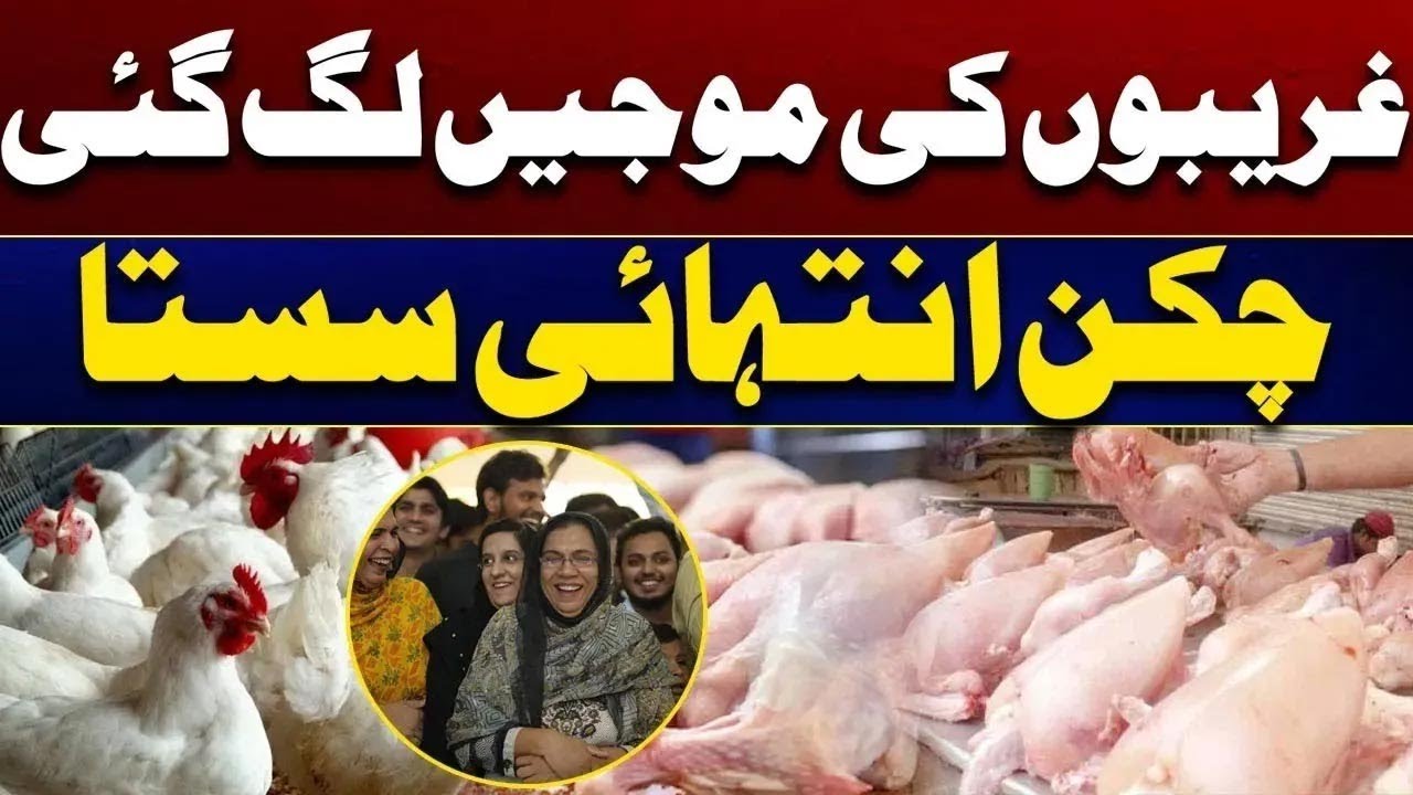 Today Rate list | Chicken Prices Drop! Massive Cut in Broiler Rates | City 41