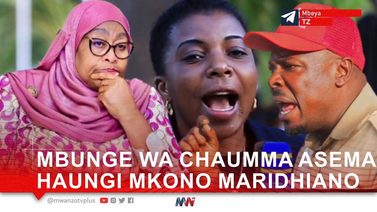 KIMEWAKA TANZANIA! MBUNGE WA CHAUMMA ASEMA HAUNGI MKONO MARIDHIANO