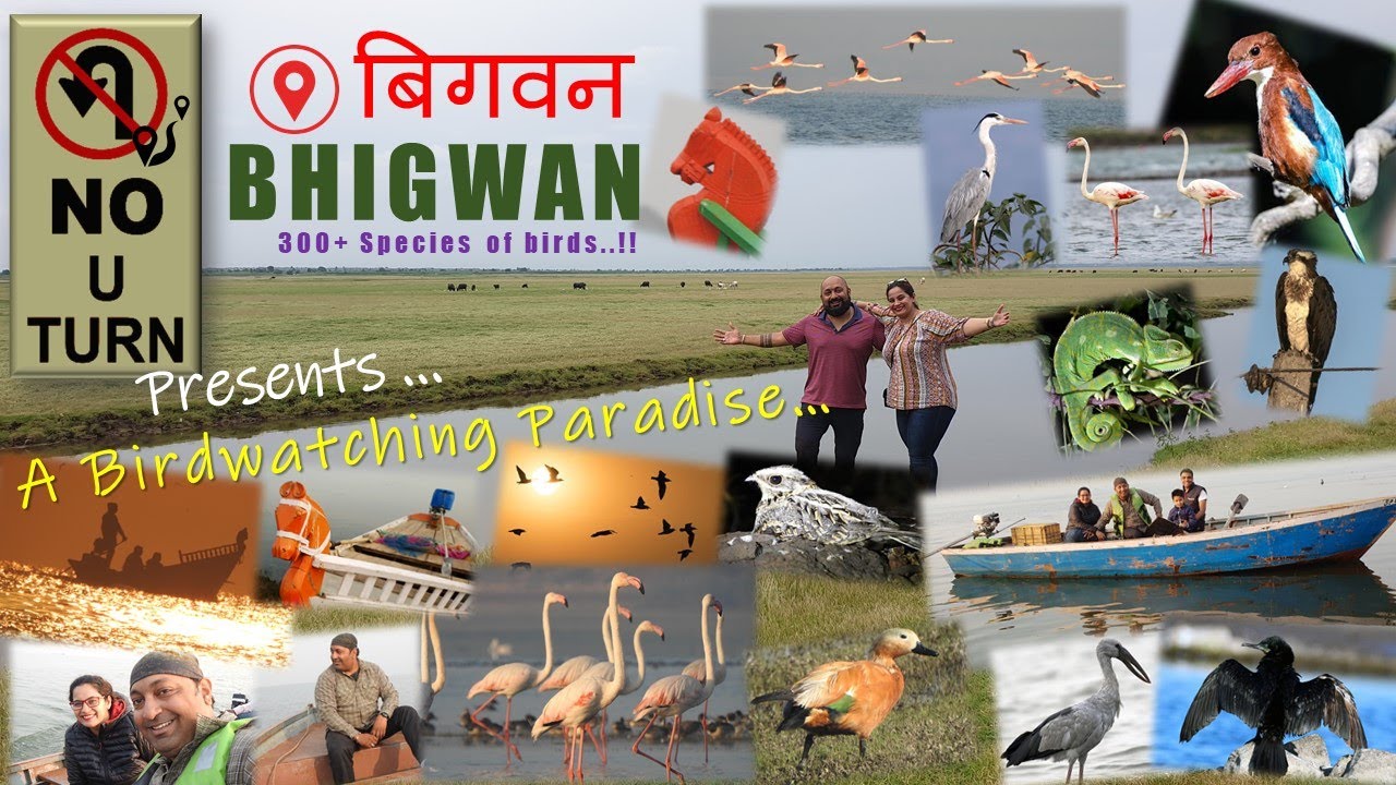 Bhigwan Bird-Watching - with No U Turn