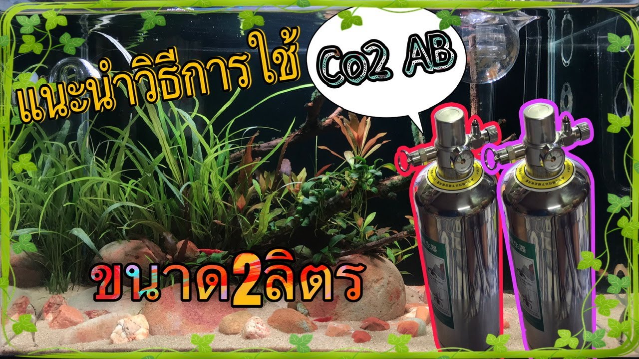 แนะนำวิธีการใช้Co2 DiyสารAB 2ลิตร #ตู้ไม้น้ำ #Aquaplants