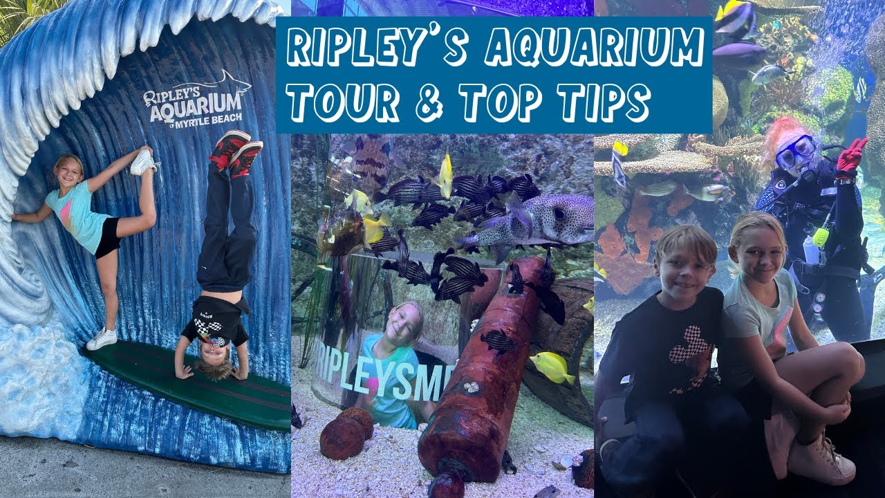 2023 Ripley's Aquarium of Myrtle Beach Full Tour & Top Tips