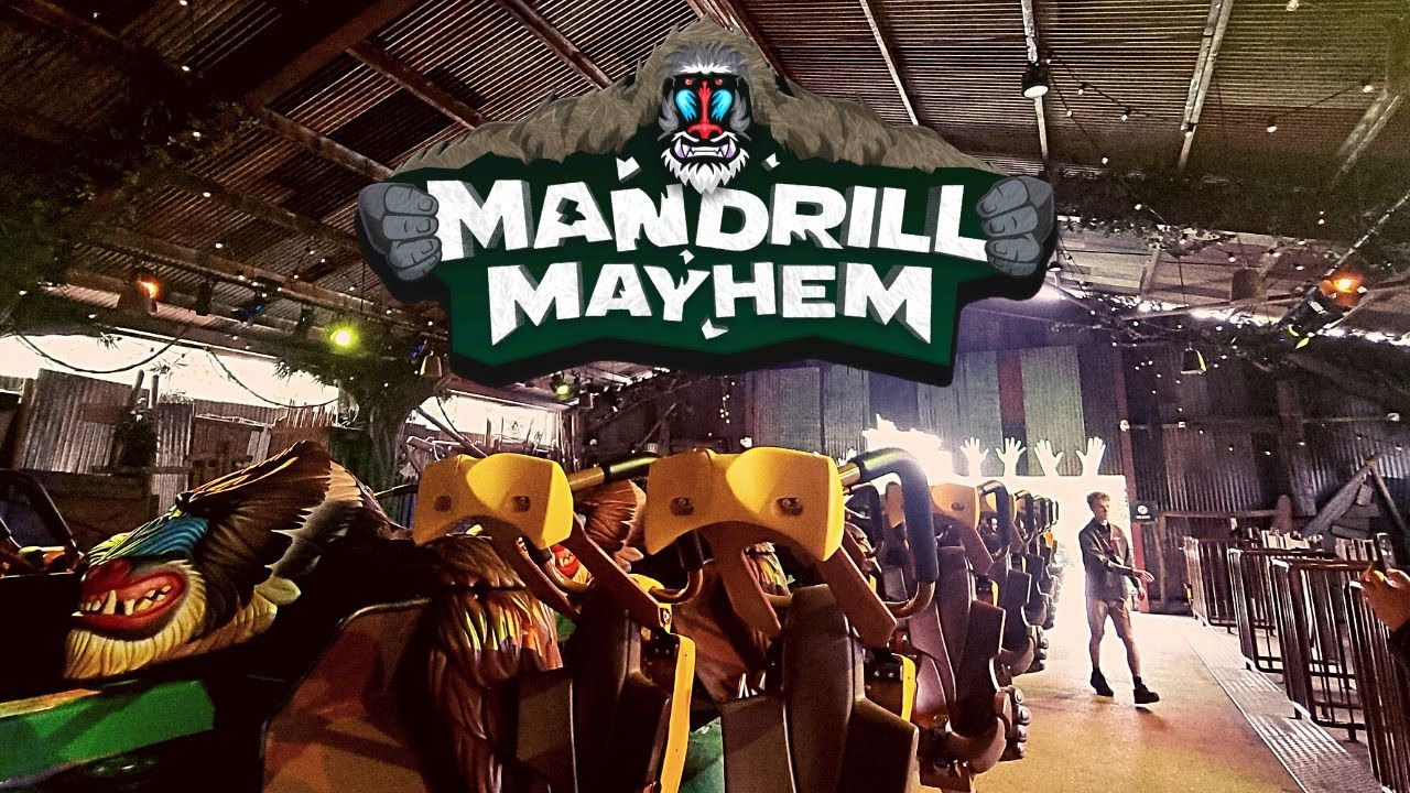 Mandrill Mayhem Chessington World of Adventures | Station View