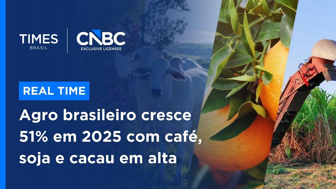Análise: agropecuária brasileira movimenta R$ 1,4 trilhão em 2025 e bate recorde histórico