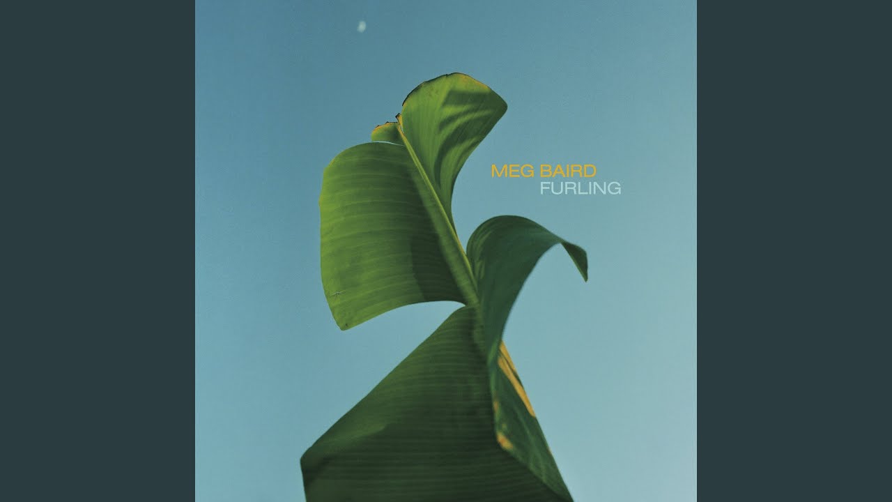 Will You Follow Me Home?