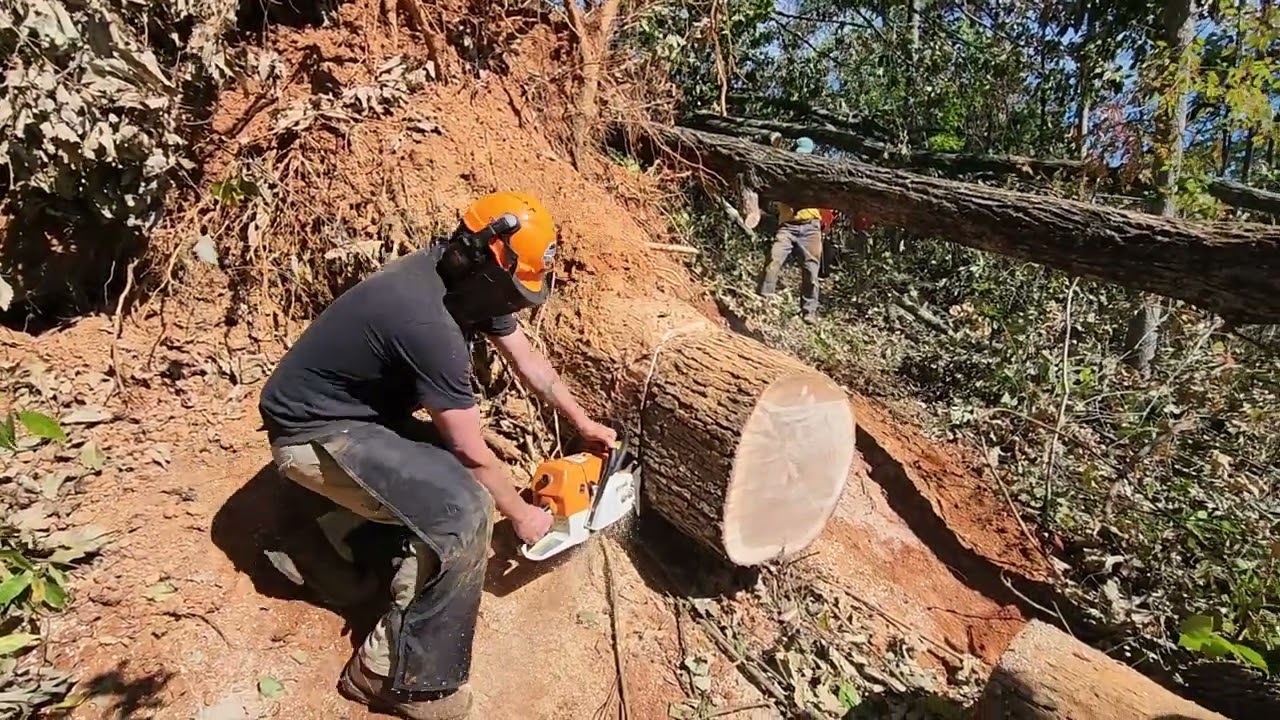Foothills Trail Hurricane Helene Damage and Recovery Efforts