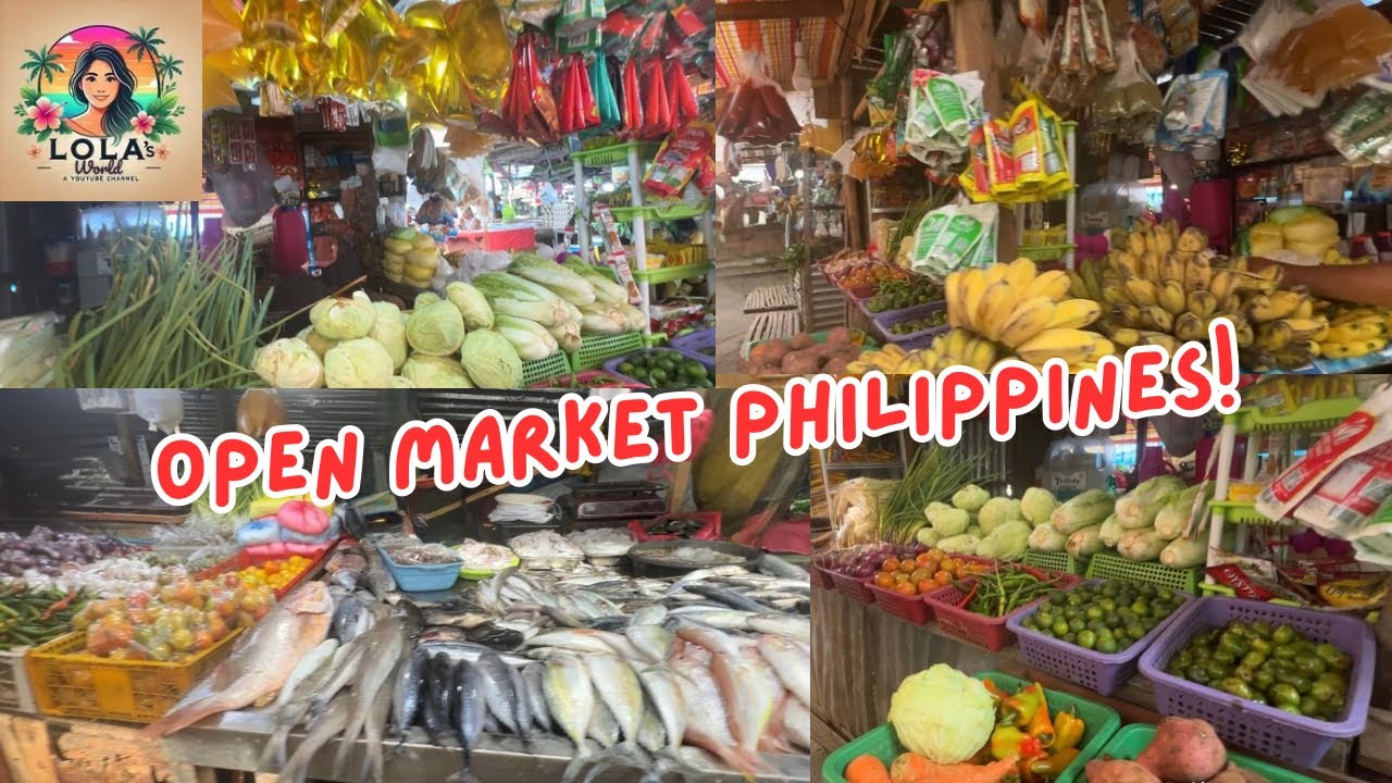 Fil Am American 🇺🇸 Exfloring Local Open Market in Bacolod Philippines!🇵🇭 ( Handumanan )