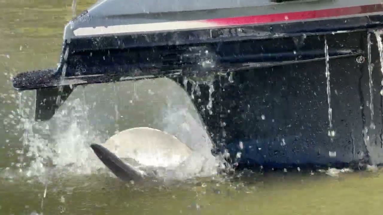 Werx Impeller Water Test