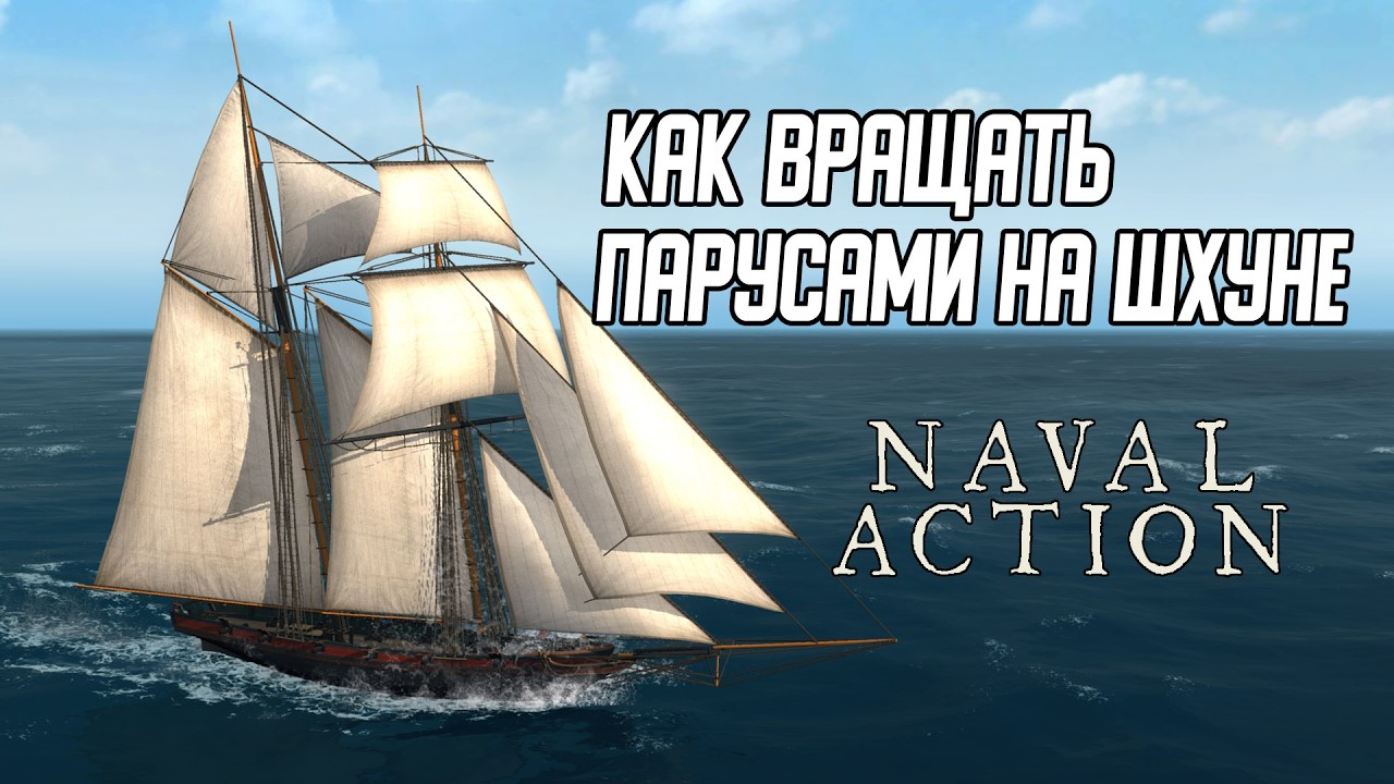 Гайд по шхуне (приматир, prince и другие линксы) в Naval Action