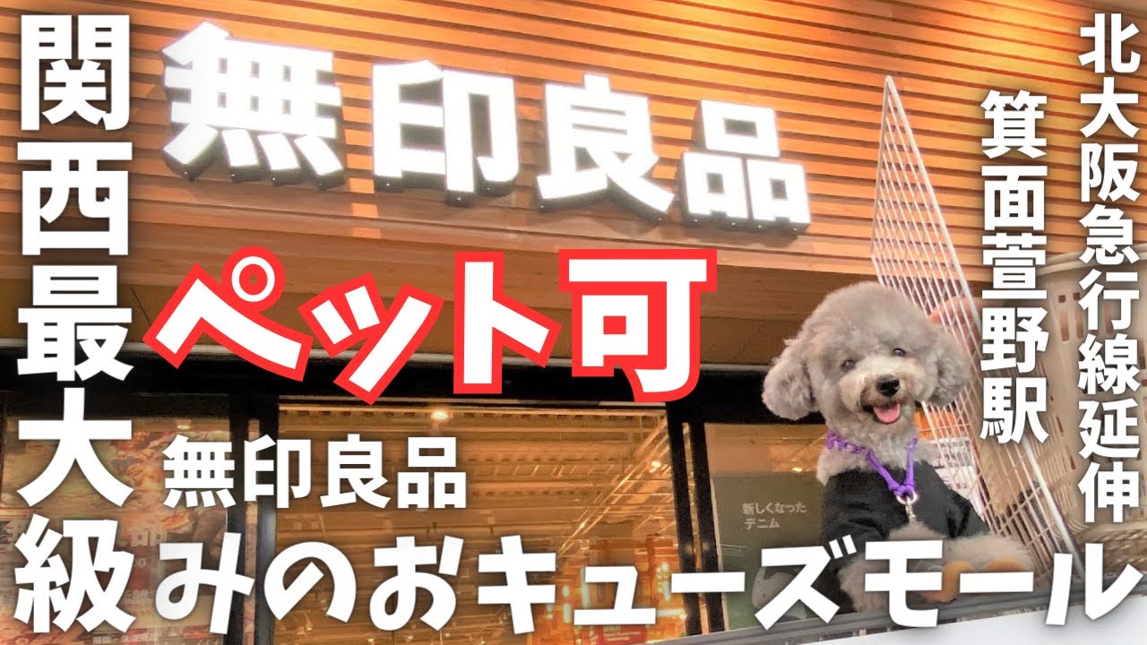 【ペット同伴可】全国初ペット同伴可の関西最大級無印良品に愛犬トルテと行って、お買い物してきたよ🐩💕in大阪みのおキューズモール【北大阪急行電鉄 延伸開業 新駅 箕面萱野駅】