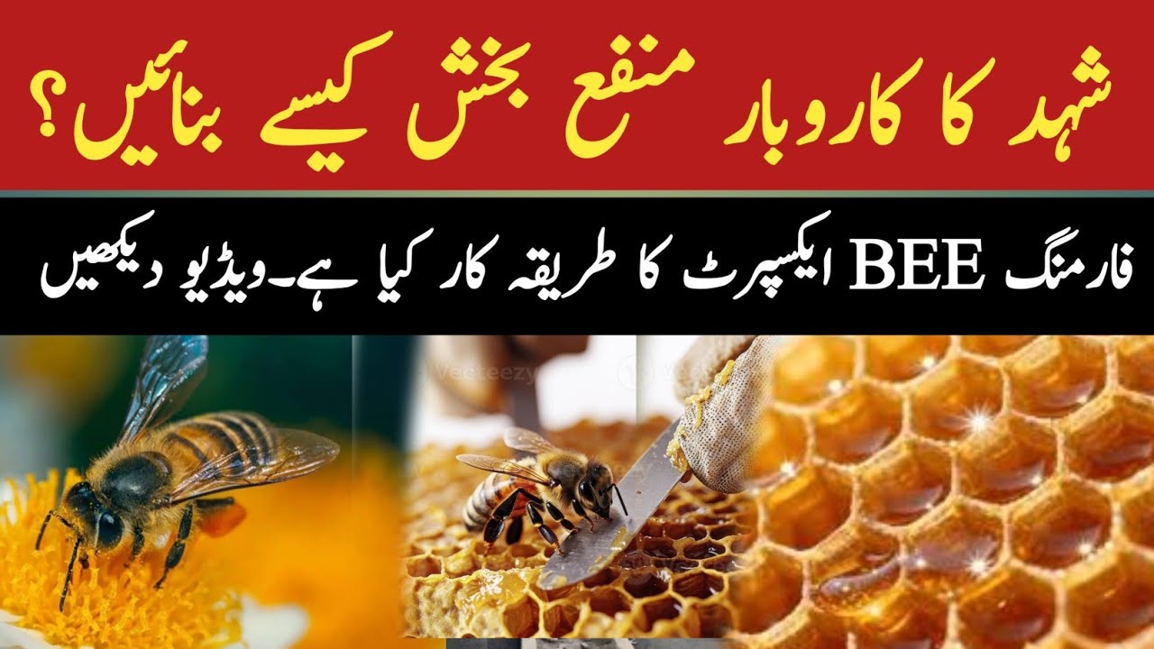 Bee Farming for Honey  Complete Honey Business Guide 2026 🐝🍯  Full Setup, Cost & Profit in Pakistan|
