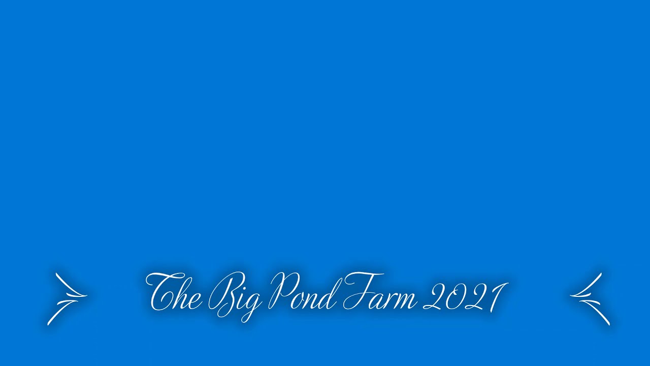 Big Pond Farm 2021