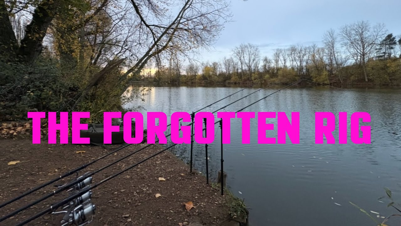TRYING to CATCH CARP on this FORGOTTEN RIG !