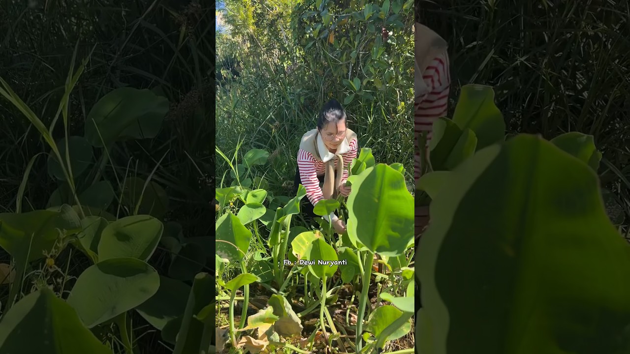 definisi kebun yang buat beta saat di kunjungi (part. I )