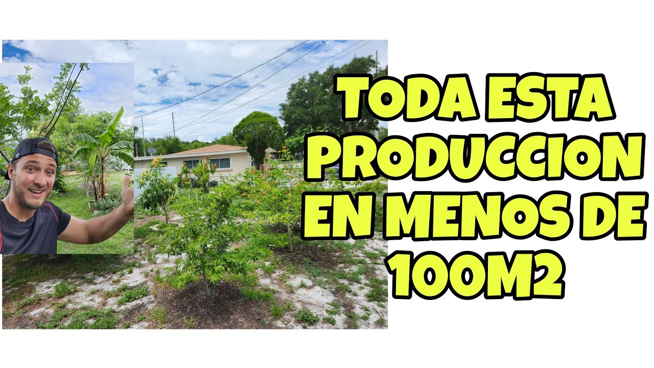 MIRA CUANTOS ARBOLES FRUTALES PUEDES SEMBRAR EN POCO ESPACIO