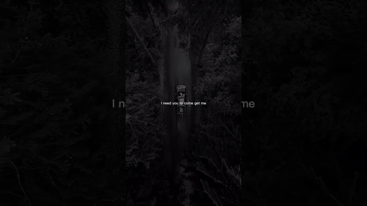Into your arm ll song #trending #aestheic #songlyrics #lyrics #music #lricslove