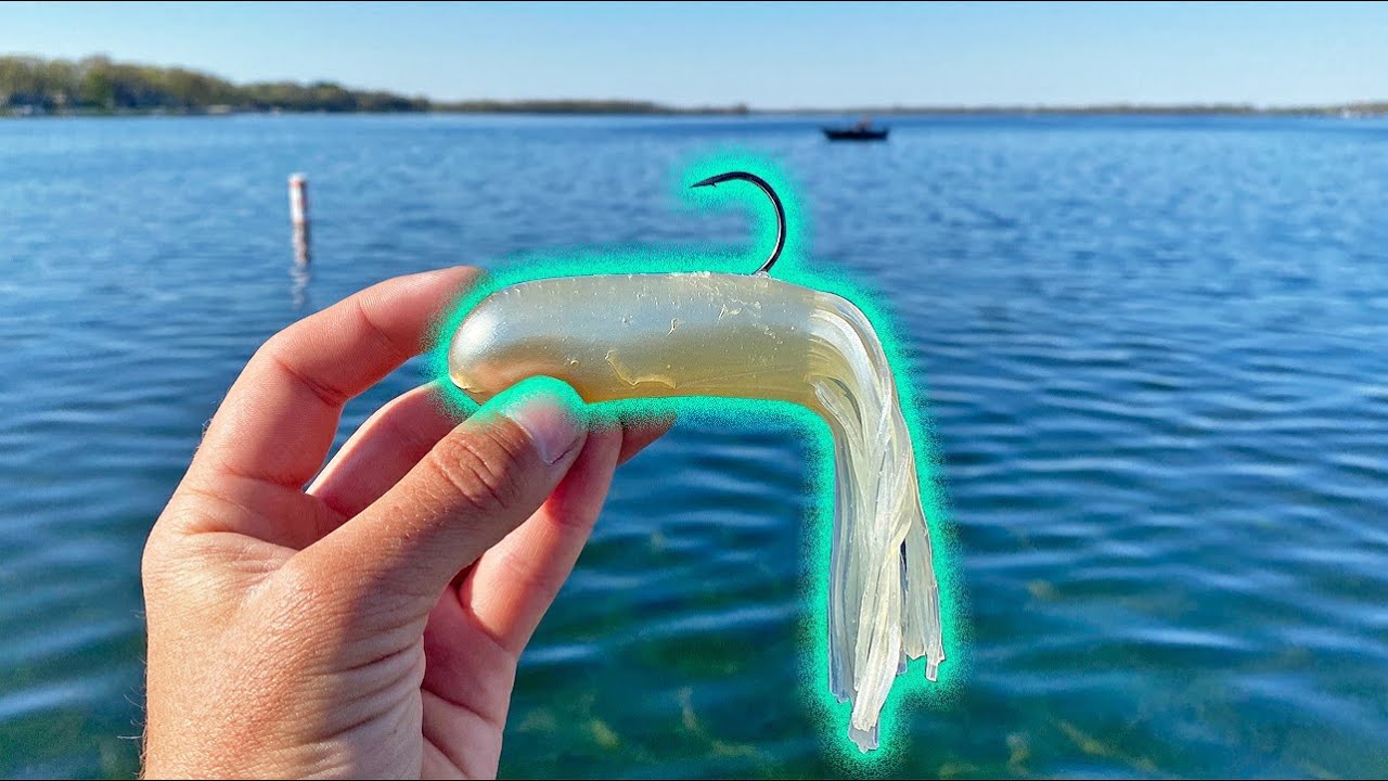 SIGHT FISHING MUSKIES In  SHALLOW CLEAR WATER!! - Incredible Live Strikes