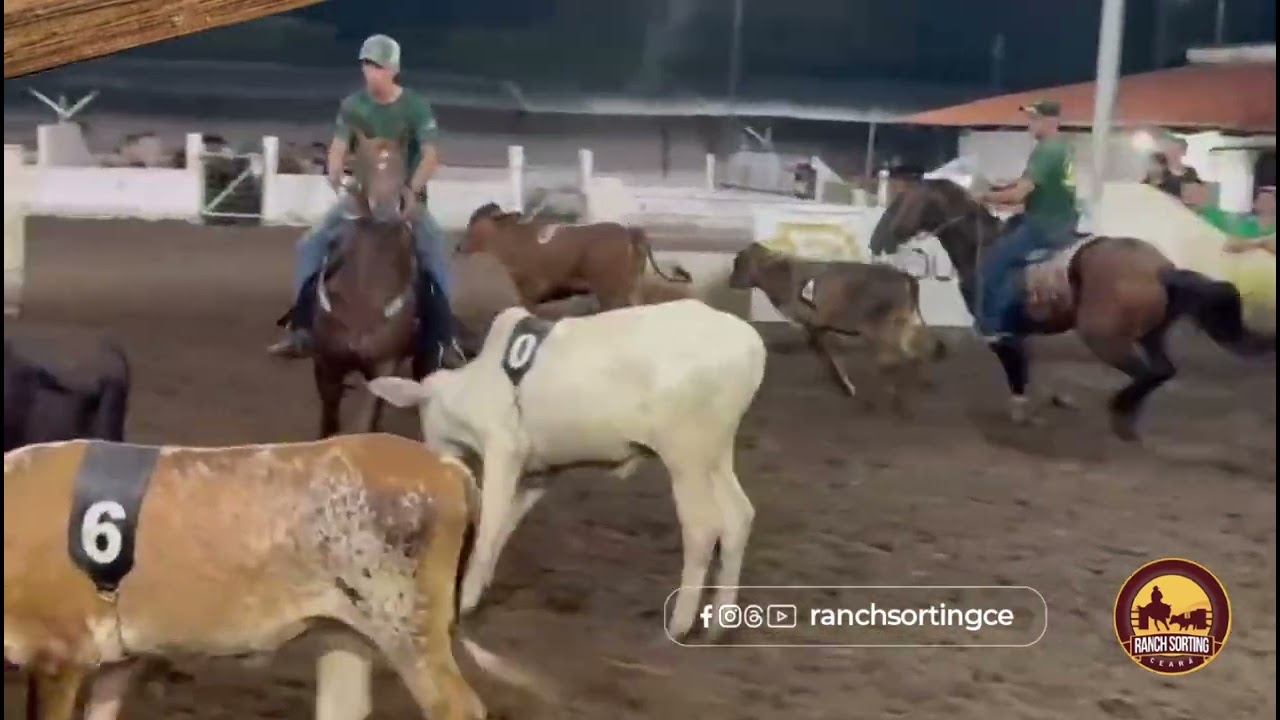 Segunda Etapa do Circuito Rancho Fort de Ranch Sorting! Disputa X1 Neto Mago e De!