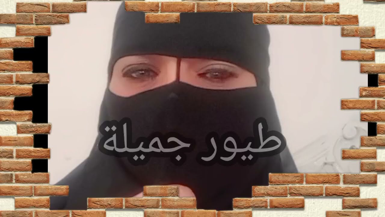 عـ متى  جات معانا المصيف كلته  تحت الميه 