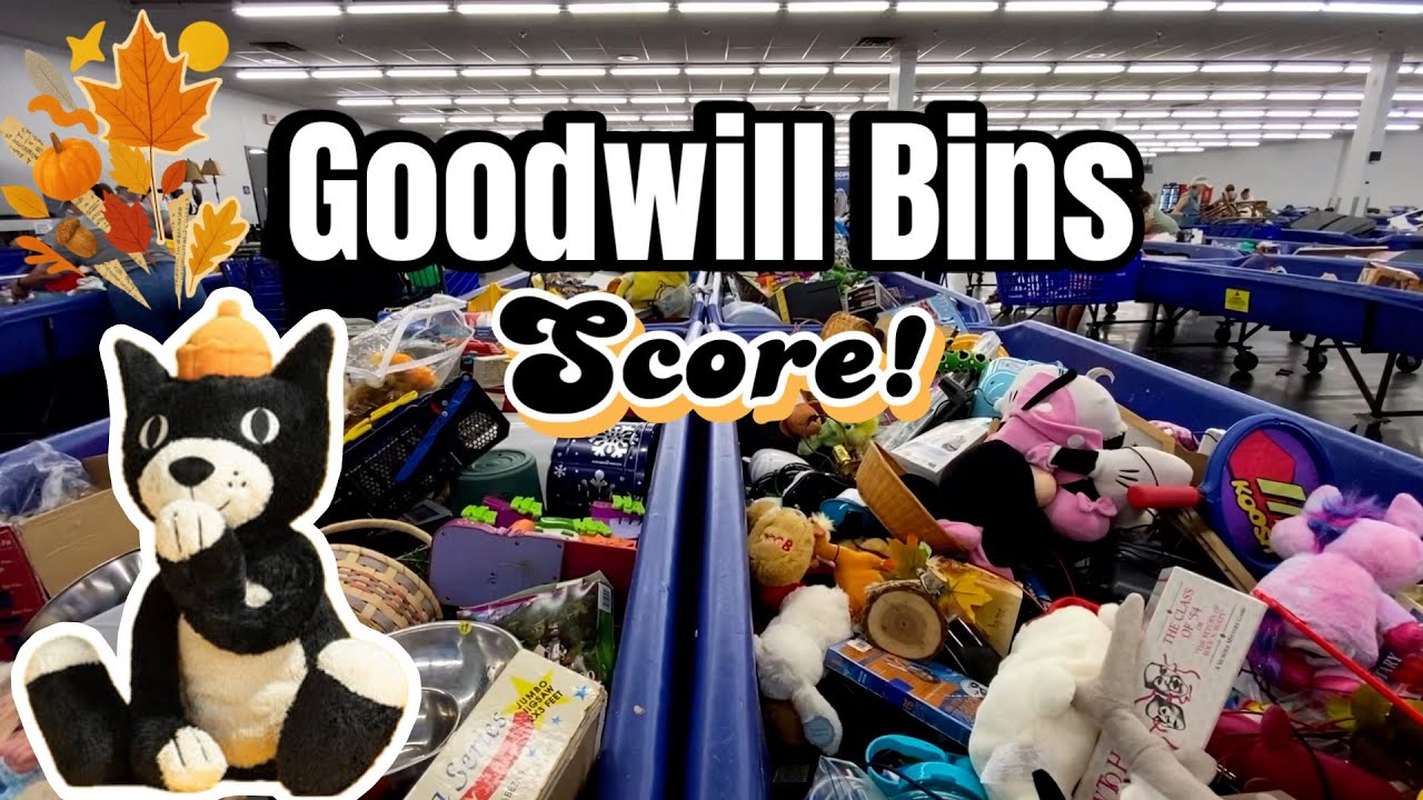 GOODWILL Bins Jellycat Score! &bull; Thrifting Plushies and Finding My Stuffed Animal ISO, Woohoo!