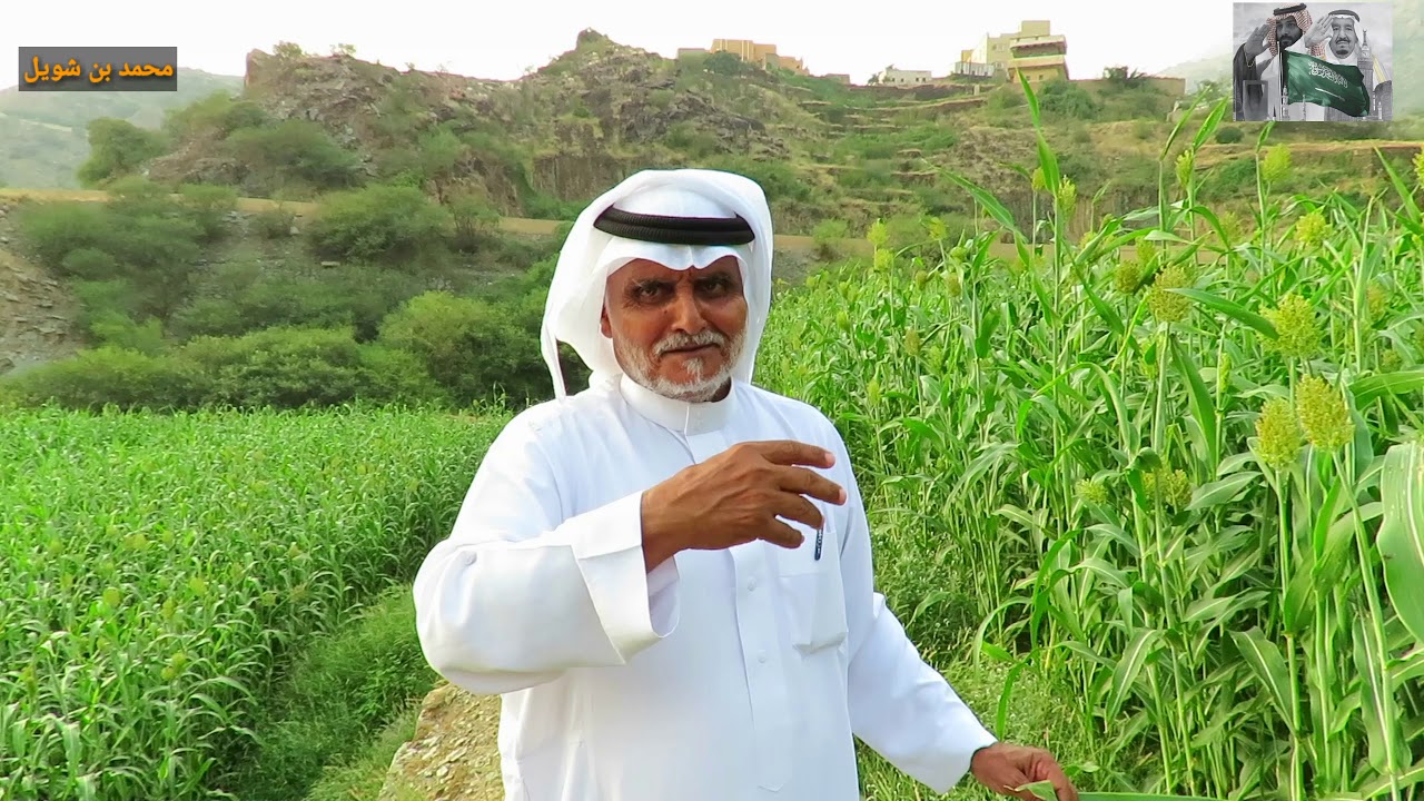 لقاء مع الأخ/حسن بن علي الاسمري عند مزرعته الواقعة في قرية المشبة بثمران في تهامة بللسمر 13-1-1440
