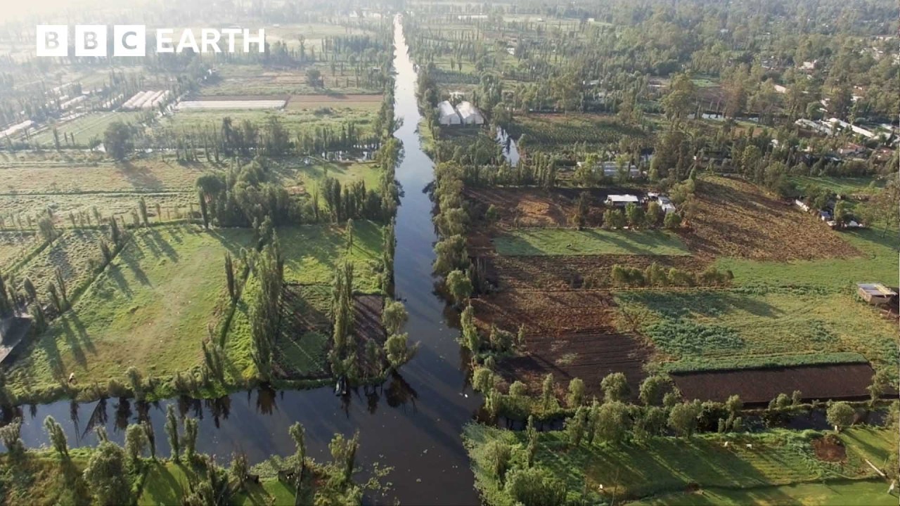 Mexico's 1,000-Year-Old Floating Farms | World's Busiest Cities | BBC Earth Explore