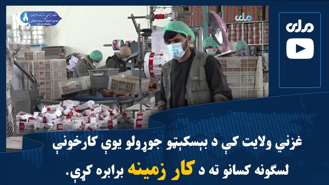 غزني ولایت کې د بېسکېټو جوړولو یوې کارخونې لسګونه کسانو ته د کار زمینه برابره کړې