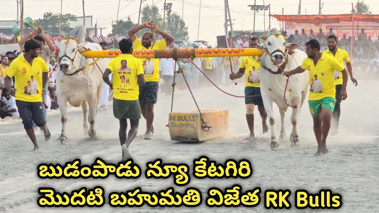 బుడంపాడు న్యూ కేటగిరి మొదటి బహుమతి విజేత 🥇🥇 ||Rk Bulls వీర నరసింహ _సమరసింహ గిత్తలు లాగిన దూరం 5245.3
