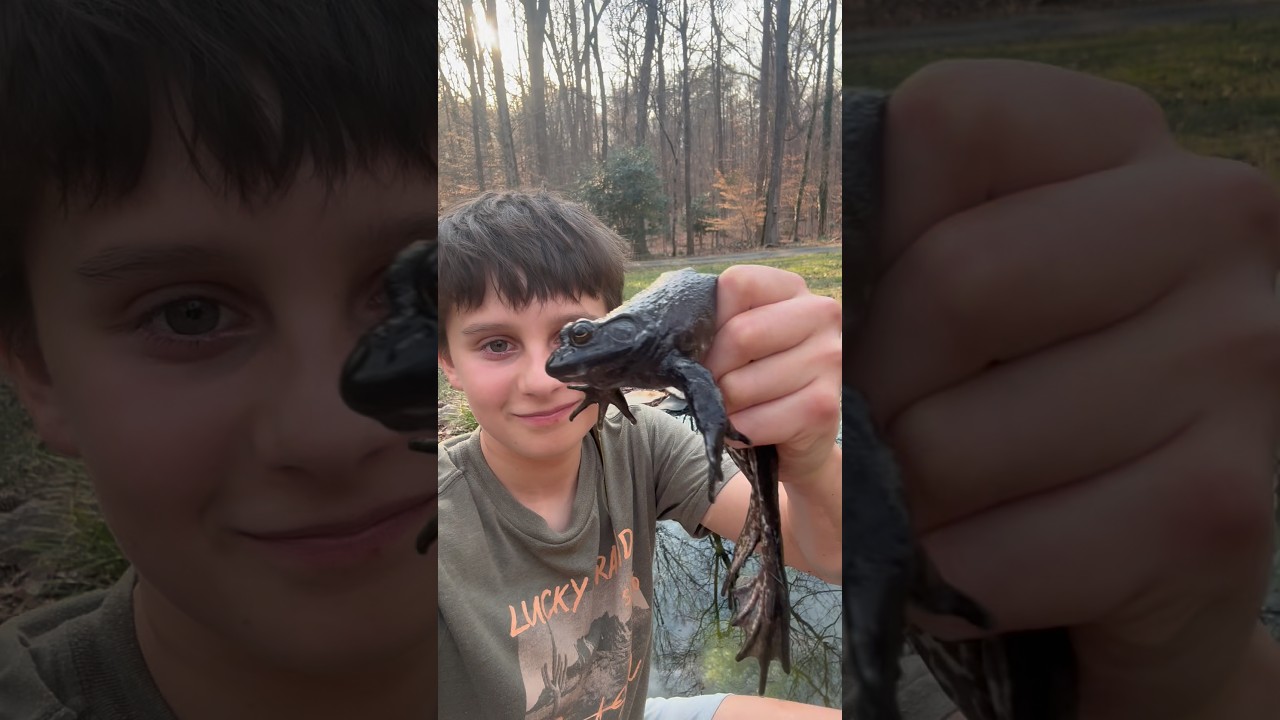 Catching weird creatures pt ??￼#wildlife #herping #frog ￼