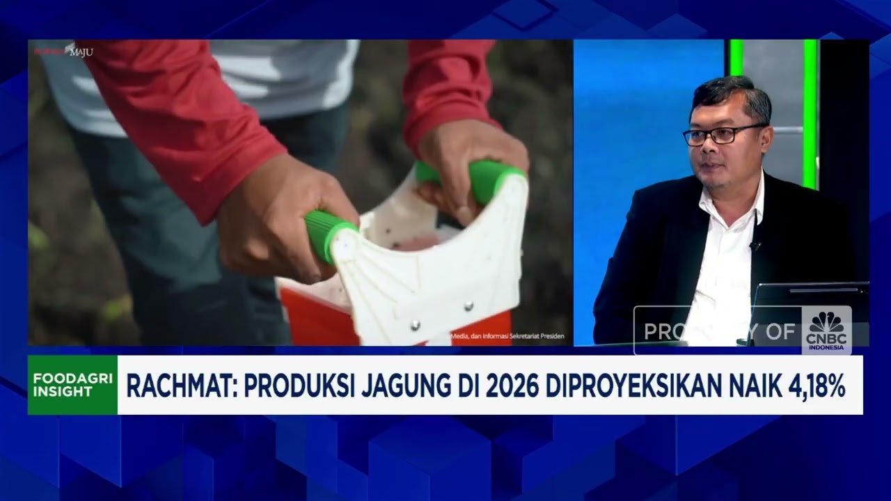 RI Sukses Swasembada Jagung, Kementan Targetkan Produksi 18 Juta Ton di 2026
