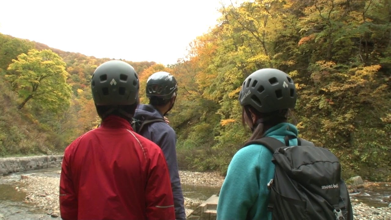Welcome to Anmon