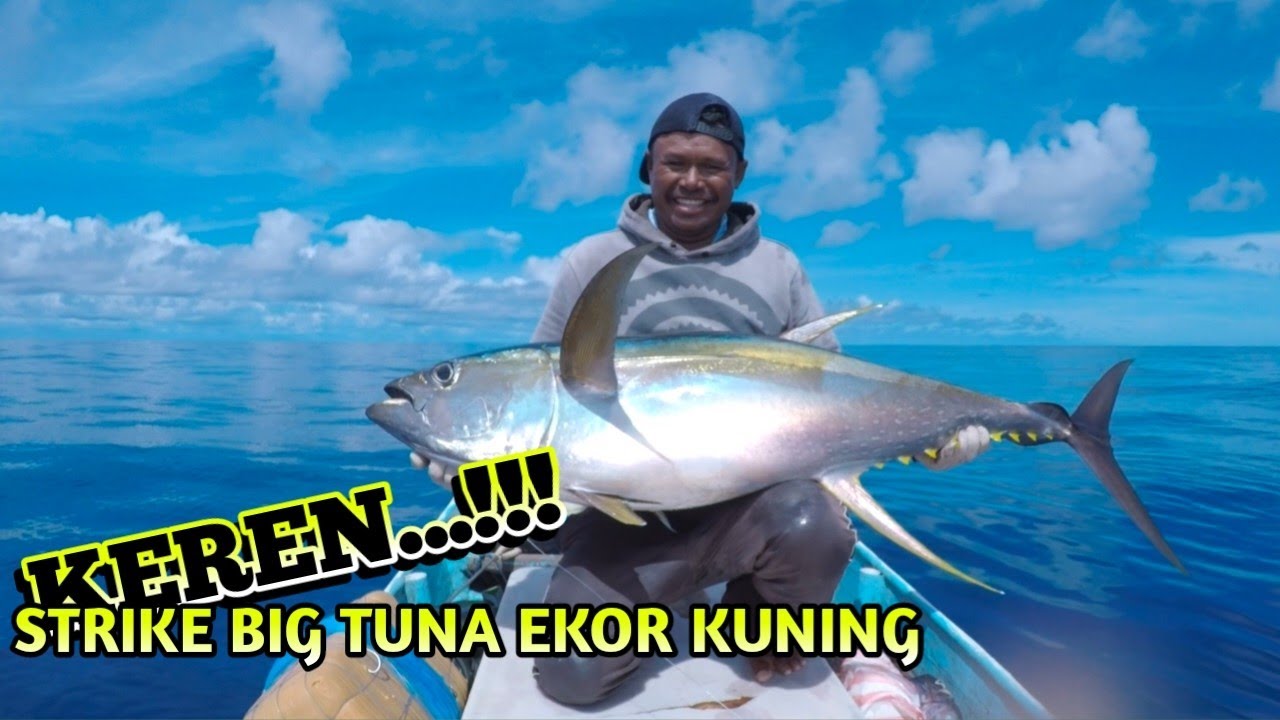 KEREN💥‼️strike BIG tuna sirip kuning..