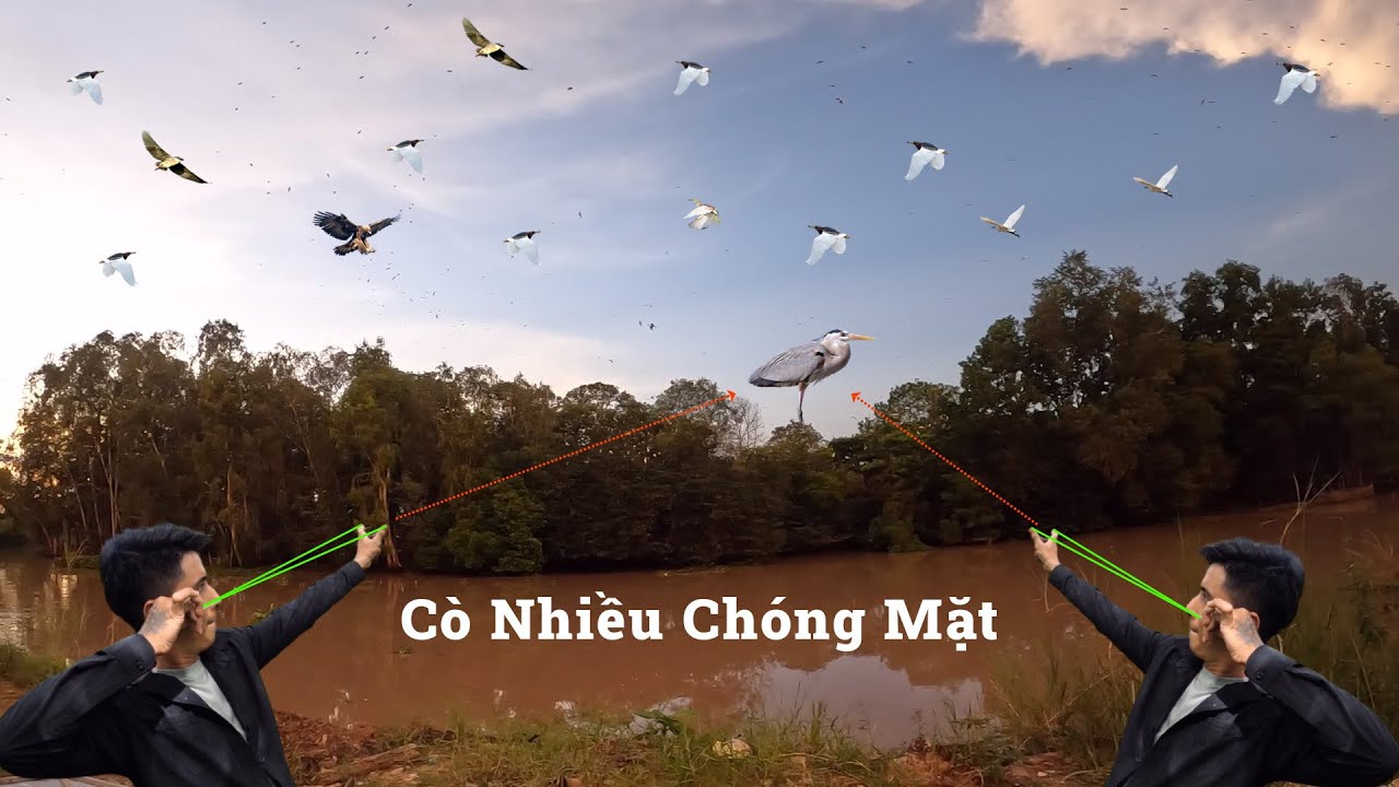 Đảm Nguyễn || Phát Hiện Cả Triệu Con Cò Chỉ Cách 1 Con Sông Wow , Vô Mánh