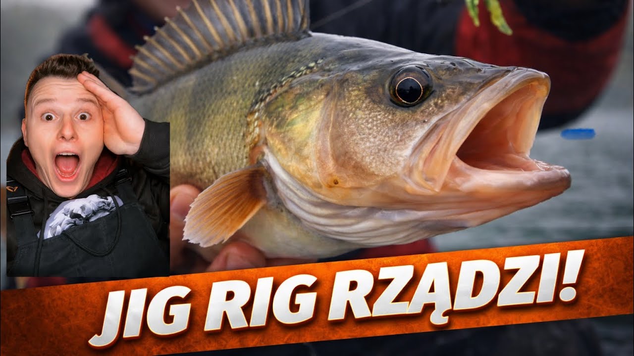 Jig Rig, który robi różnicę! Zobacz jak łowić skutecznie