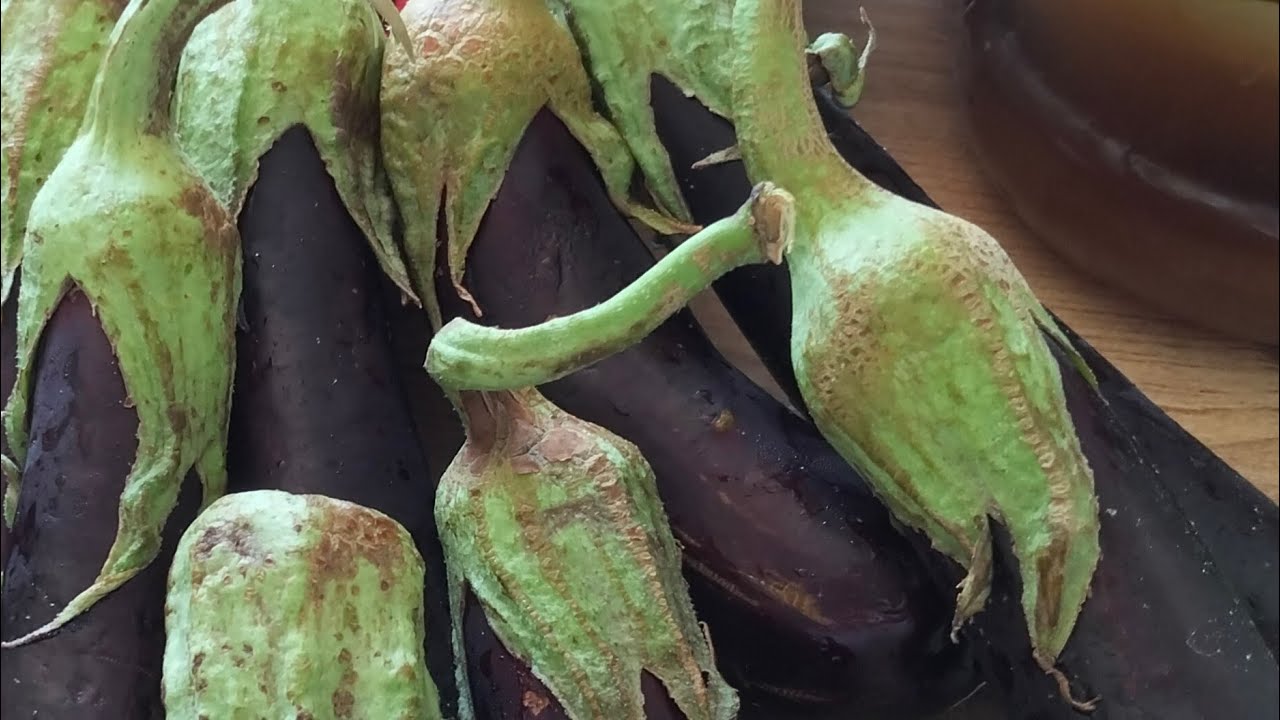 PATLICAN NASIL KIZARTILIR? KARNIYARIK PATLICAN BUZLUĞA NASIL KOYULUR? 
