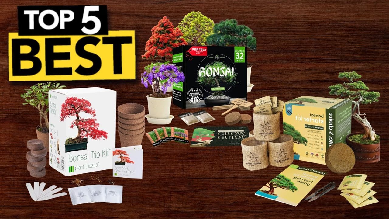TOP 5 Best Bonsai Tree Kit [ Buyer's Guide ]