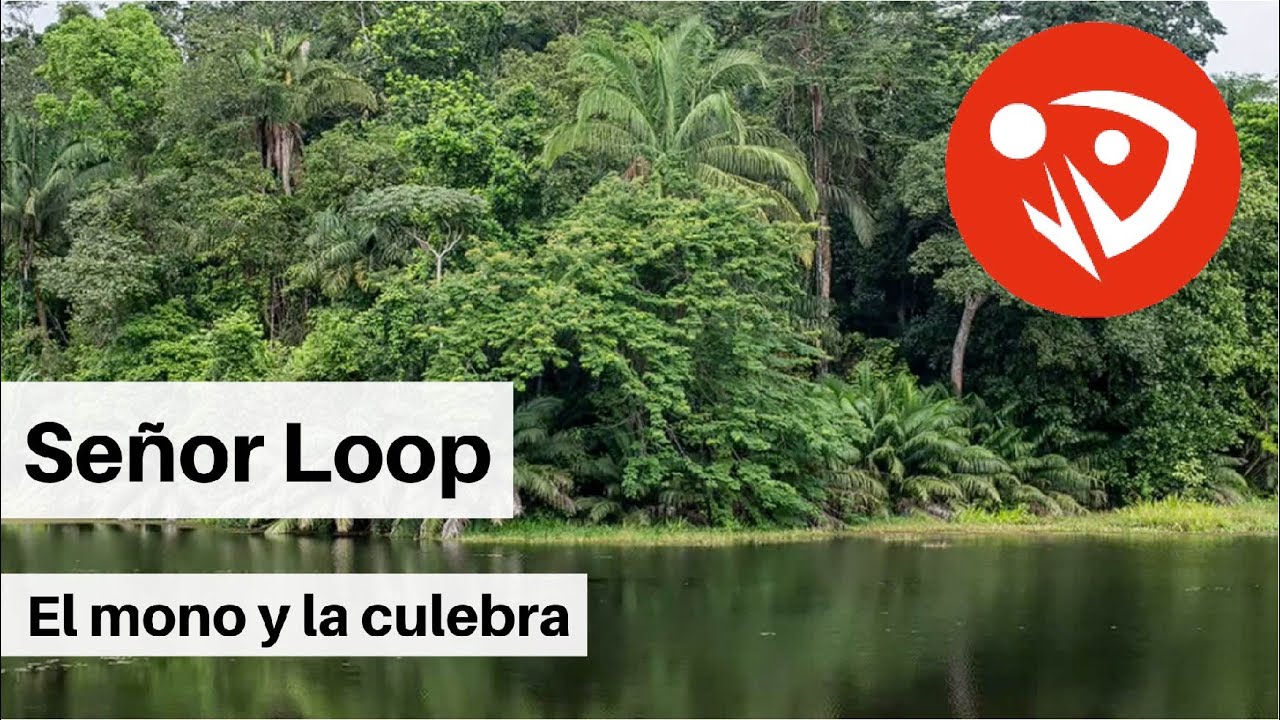 Señor Loop - El Mono y la Culebra (Audio Oficial)