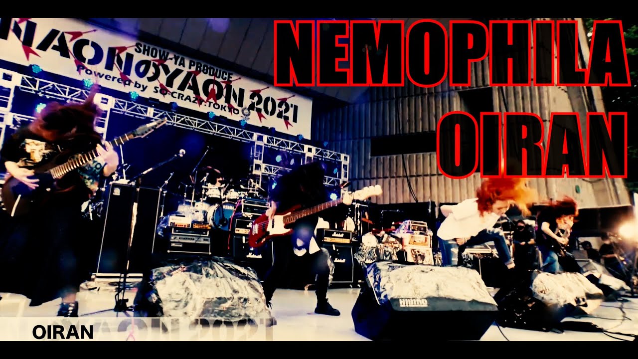 NEMOPHILA / OIRAN [Official Live Video]